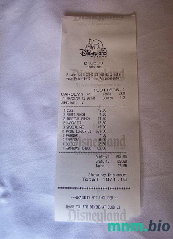 Disneyland szablon pokwitowania płatności PSD